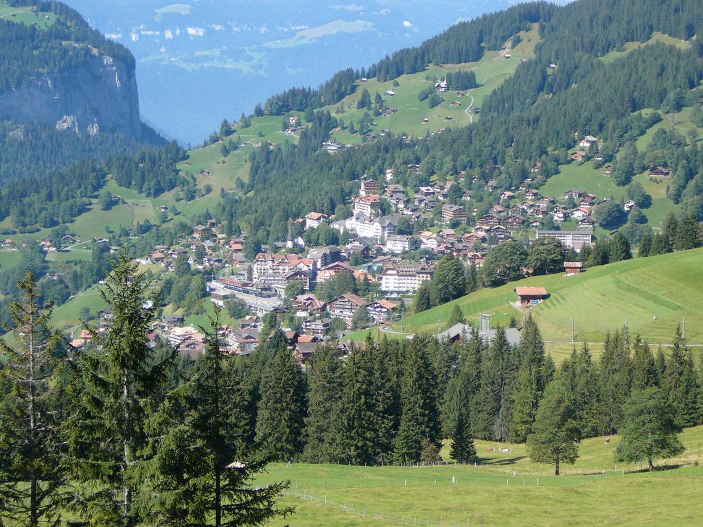Chalet Acheregg Wengen Pokój zdjęcie