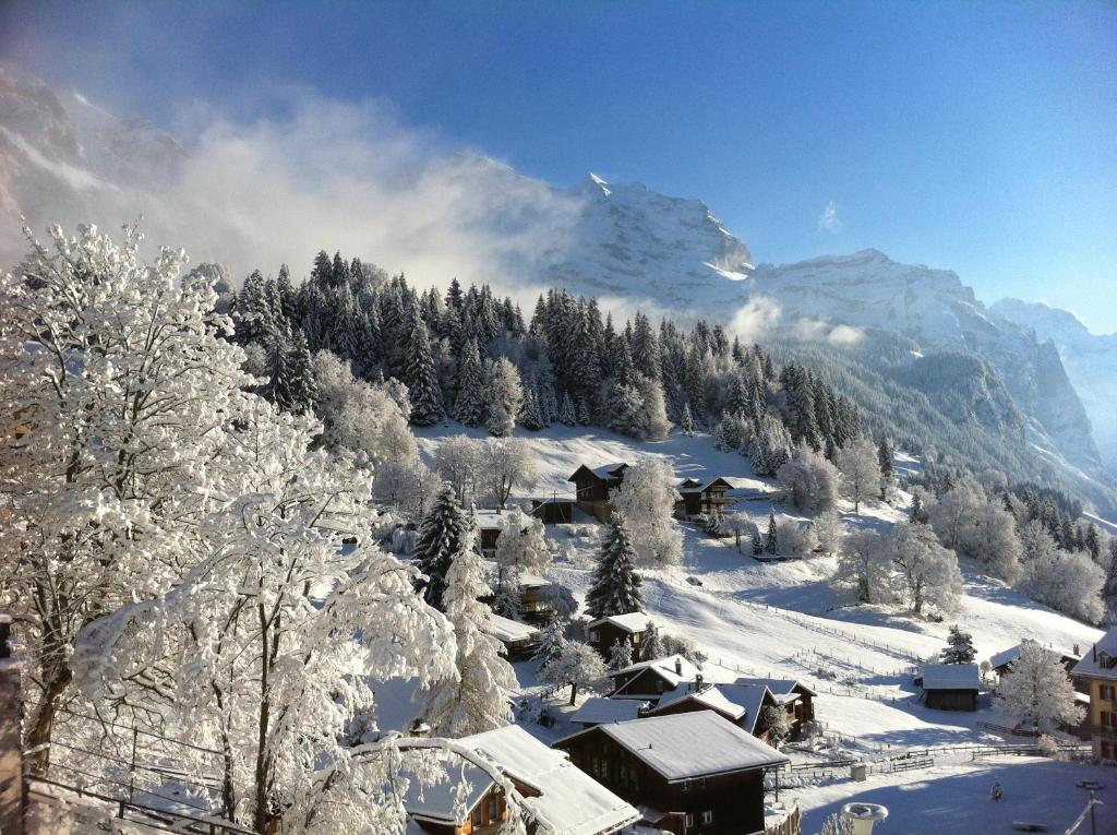 Chalet Acheregg Wengen Zewnętrze zdjęcie