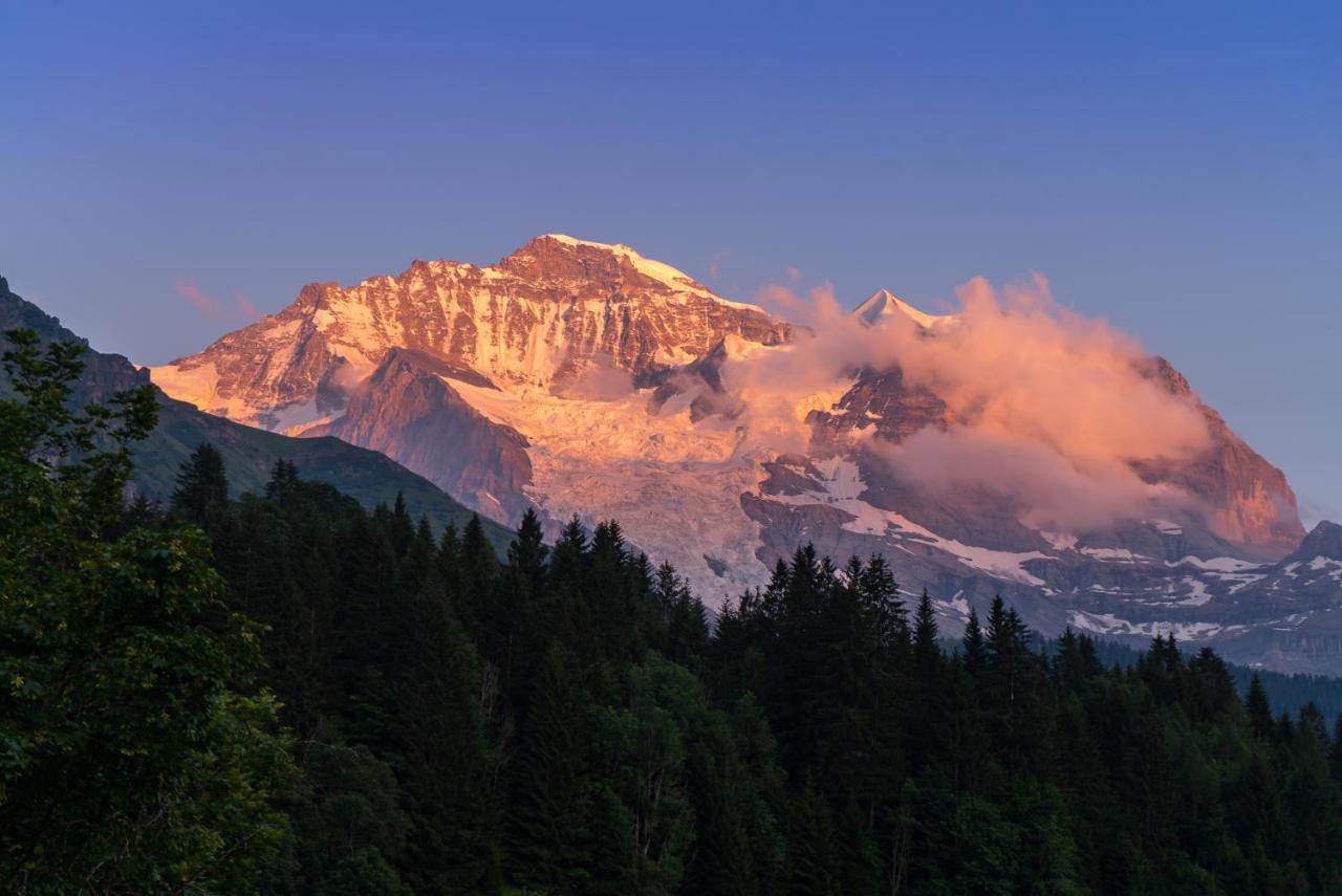 Chalet Acheregg Wengen Zewnętrze zdjęcie