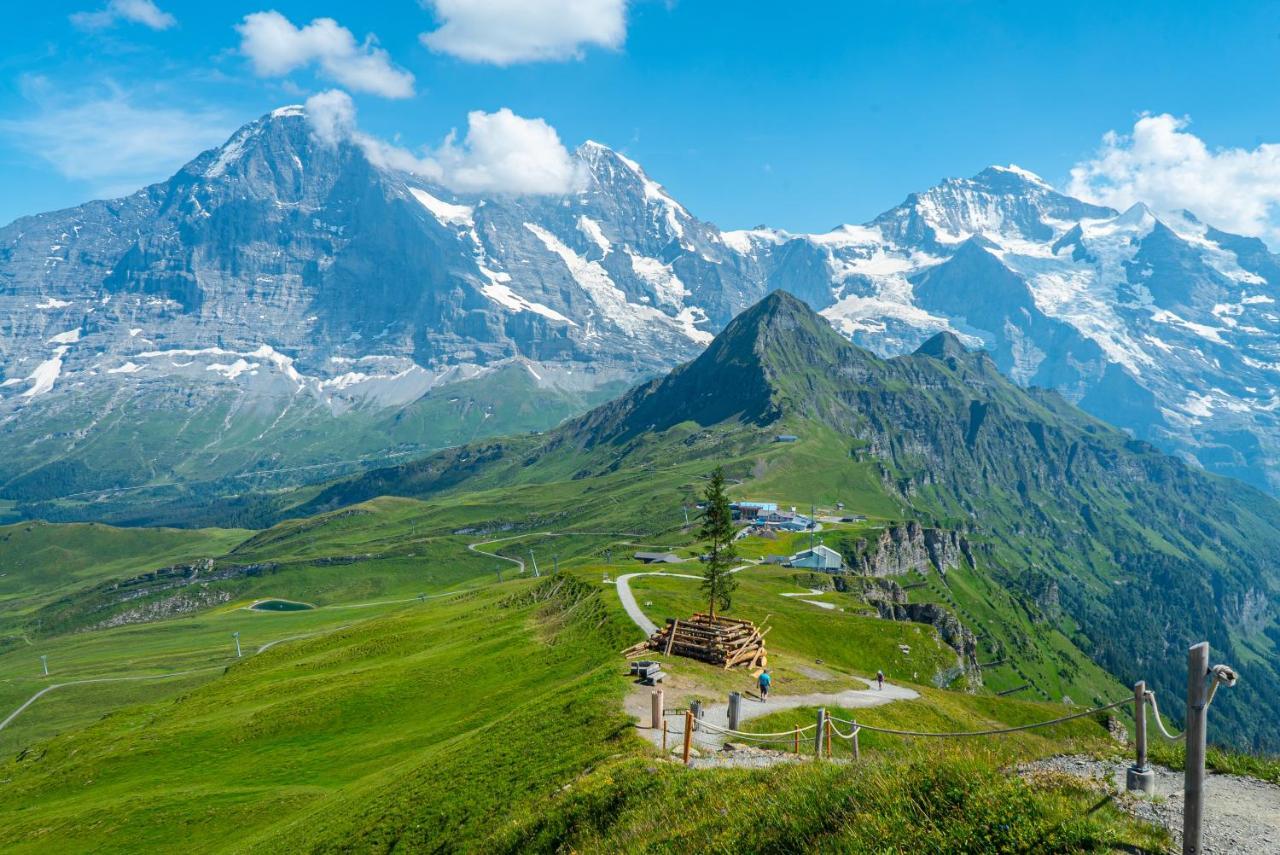 Chalet Acheregg Wengen Zewnętrze zdjęcie