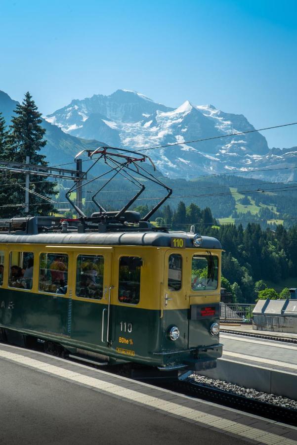 Chalet Acheregg Wengen Zewnętrze zdjęcie