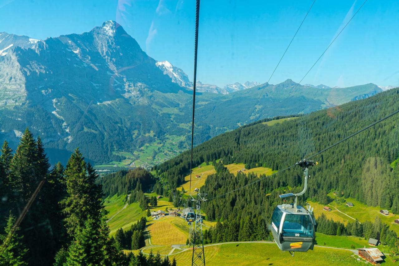 Chalet Acheregg Wengen Zewnętrze zdjęcie